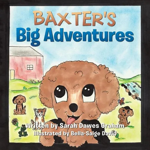 Baxter's Big Adventures - Paperback