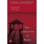 The Seduction of Water - Paperback