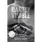 Barely Visible: Mothering a Son Through His Misunderstood Autism - Paperback