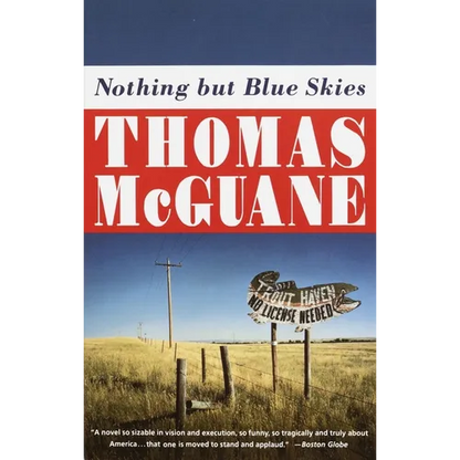 Nothing but Blue Skies - Paperback