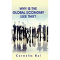Why Is the Global Economy Like This? - Hardcover