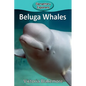 Beluga Whales - Paperback