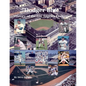 "Dodger Blue" History of the Los Angeles Dodgers - Paperback