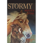 Stormy, Misty's Foal - Paperback