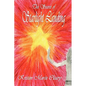 The Secret of Starlight Landing - Paperback