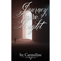 Journey to the Light - Hardcover
