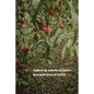 Cultivo de árboles frutales: Una guía para el jardín - Paperback