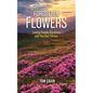 Forgotten Flowers: Loving People You Know and You Don't Know - Paperback