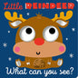 Little Reindeer What Can You See? - Board Book