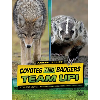 Coyotes and Badgers Team Up! - Hardcover