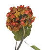 Blush Hydrangea - Red