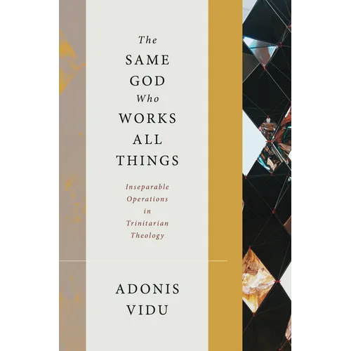 The Same God Who Works All Things: Inseparable Operations in Trinitarian Theology - Hardcover