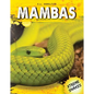 Mambas - Library Binding