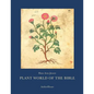 Plant World of the Bible - Paperback