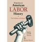 Perspectives on American Labor History: The Problems of Synthesis - Paperback