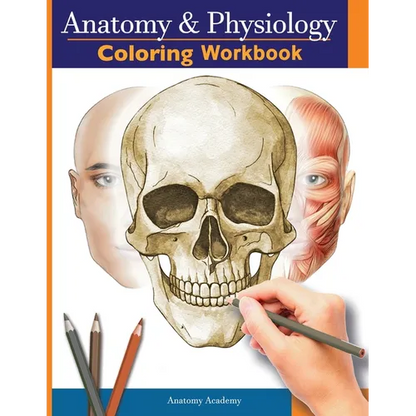 Anatomy and Physiology Coloring Workbook: The Essential College Level Study Guide Perfect Gift for Medical School Students, Nurses and Anyone Interest - Paperback