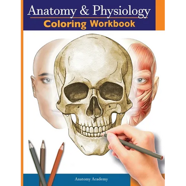 Anatomy and Physiology Coloring Workbook: The Essential College Level Study Guide Perfect Gift for Medical School Students, Nurses and Anyone Interest - Paperback