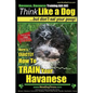 Havanese, Havanese Training AAA AKC Think Like a Dog, But Don't Eat Your Poop!: Here's EXACTLY How To TRAIN Your Havanese - Paperback