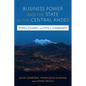 Business Power and the State in the Central Andes: Bolivia, Ecuador, and Peru in Comparison - Hardcover