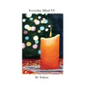 Everyday Mind VI - Paperback