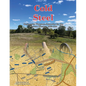 Cold Steel: Regimental Wargame Scenarios for the Western Theater: 1862-1864 - Paperback