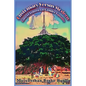 Customary Versus Modern Laws of Eritrea on Gender Equality: A Comprehensive Study on Harmonization of Pluralistic Laws - Paperback