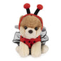 Itty Bitty Boo Ladybug