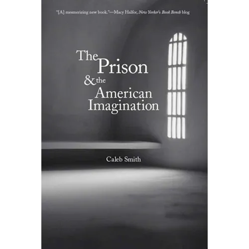 The Prison and the American Imagination - Paperback