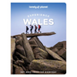 Lonely Planet Experience Wales - Paperback