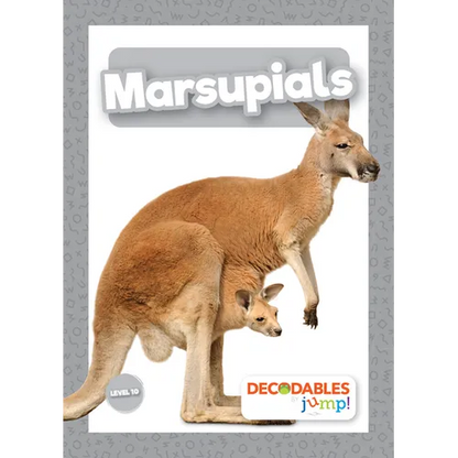 Marsupials - Paperback