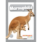 Marsupials - Paperback
