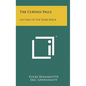 The Curtain Falls: Last Days of the Third Reich - Hardcover