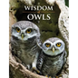 Wisdom of Owls - Hardcover