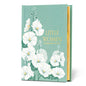 Little Women (Special Edition) - Hardcover