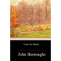 Under the Maples - Paperback