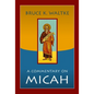 A Commentary on Micah - Paperback