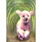 The Pink Poodle - Paperback