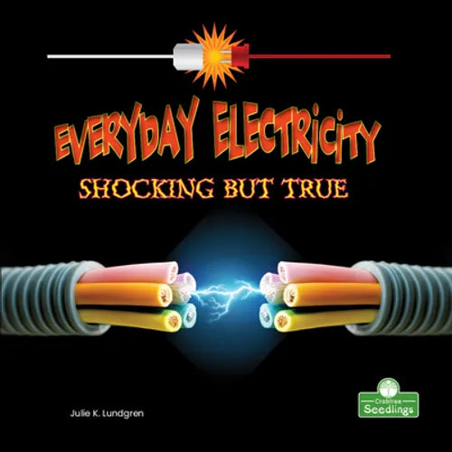 Everyday Electricity, Shocking But True - Library Binding