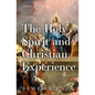 The Holy Spirit and Christian Experience - Paperback