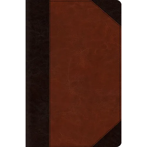 New Reference Bible-ESV-Portfolio Design - Imitation Leather