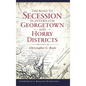 The Road to Secession in Antebellum Georgetown and Horry Districts - Hardcover