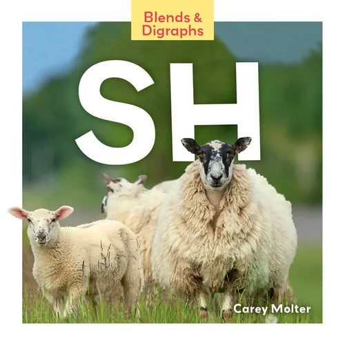 Sh - Library Binding