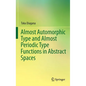 Almost Automorphic Type and Almost Periodic Type Functions in Abstract Spaces - Hardcover