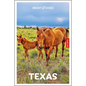 Insight Guides Texas: Travel Guide with eBook - Paperback