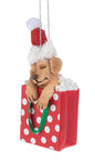 Comfy & Cozy Pet Ornament -  Yellow Lab