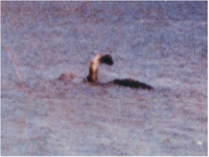 Champ the Lake Champlain Monster