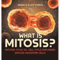What is Mitosis? Mitosis Cycle vs. Cell Cycle Explained Diploid Daughter Cells Grade 6-8 Life Science - Hardcover