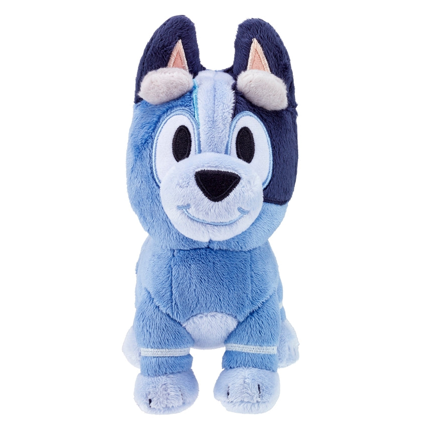 Socks of   Bluey Plush