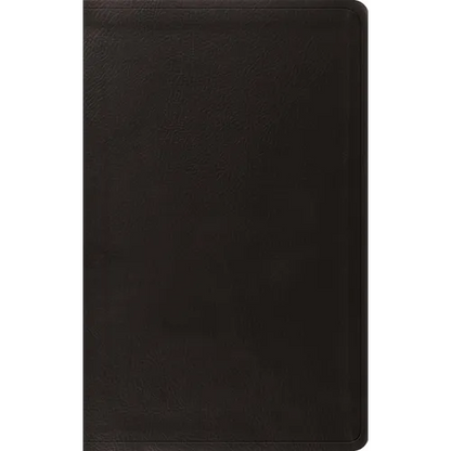ESV Value Thinline Bible (Trutone, Black) - Imitation Leather
