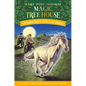 Windy Night with Wild Horses - Hardcover